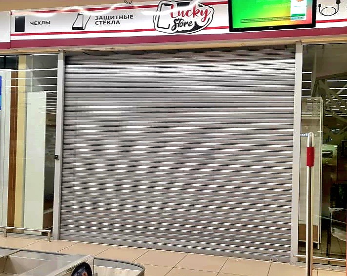 Роллетные ворота DoorHan в Лисках с установкой